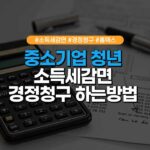 중소기업 청년 소득세 감면 경정청구